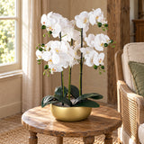 60cm Orchid Artificial White - Gold Ceramic Planter