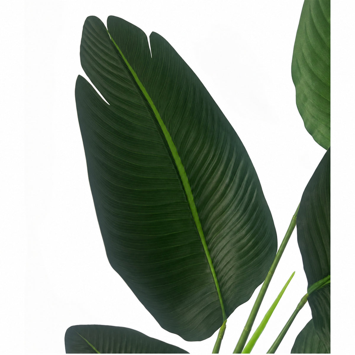 120cm UV Resistant Artificial Traveller Banana Palm Tree – image 2
