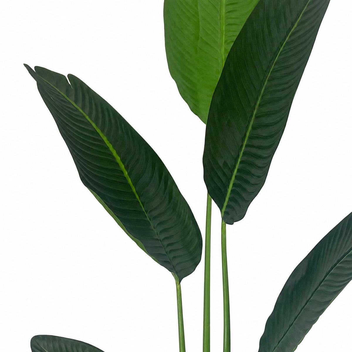 120cm UV Resistant Artificial Traveller Banana Palm Tree – image 4