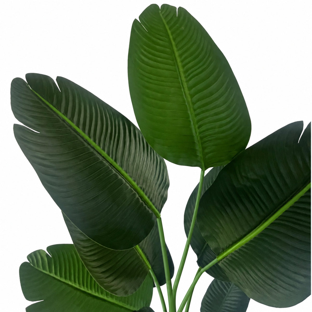 150cm UV Resistant Artificial Traveller Banana Palm Tree – image 2