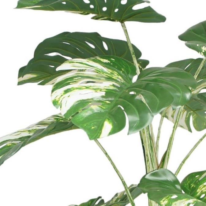 180cm Variegated Monstera Realistic Artificial Tree – image 3