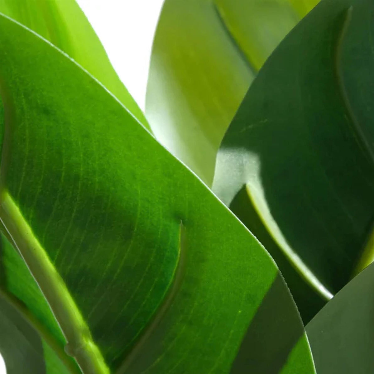 45cm Artificial Aureum Plant – image 3