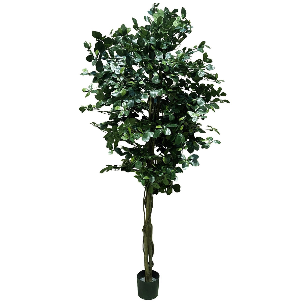 180cm Artificial Fire Retardant Black Olive Tree with 2925 Leaves and Natural Trunk