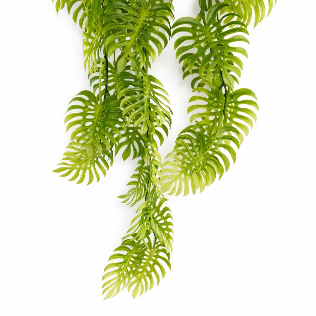 80cm Artificial Trailing Tropical Monstera Plant - Light Green – image 4
