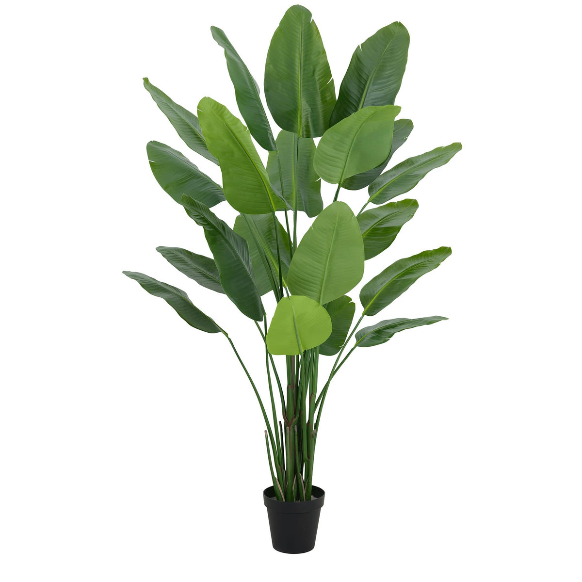 200cm Traveller Palm Artificial Tree Realistic – image 2