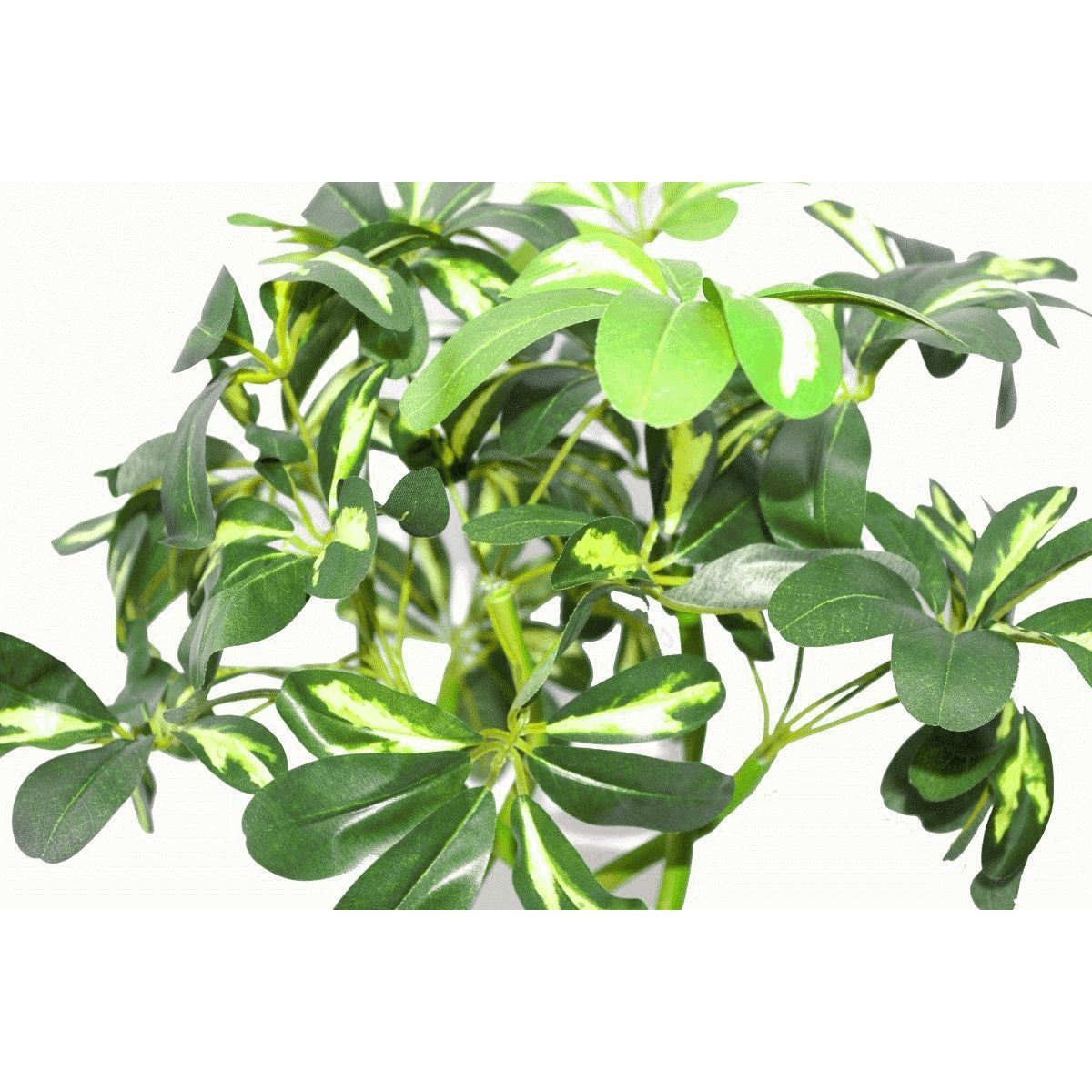 Artificial Gold Capella Umbrella Tree with Twisted Stem.