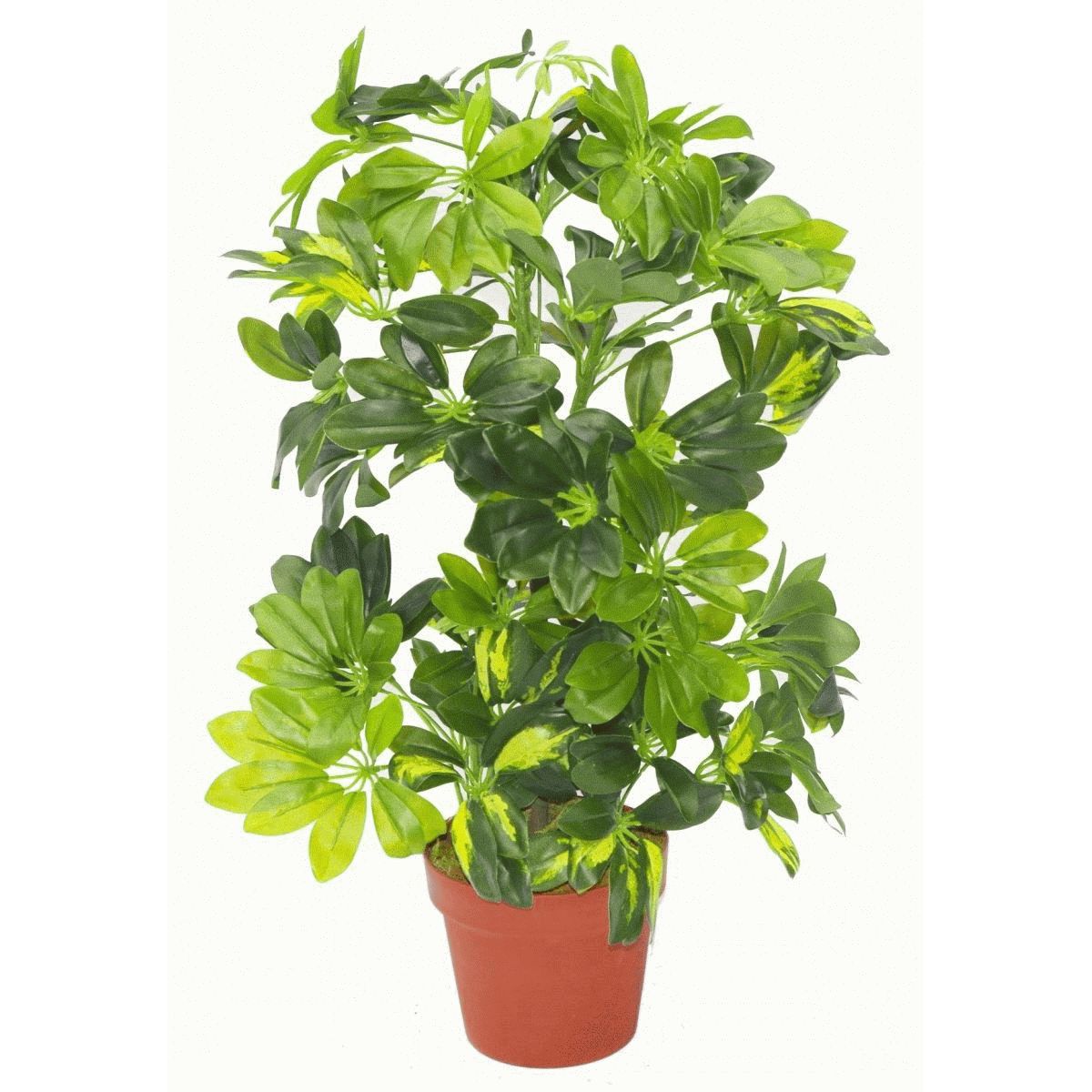 75cm Artificial Arboricola Gold Capella Plant – image 3
