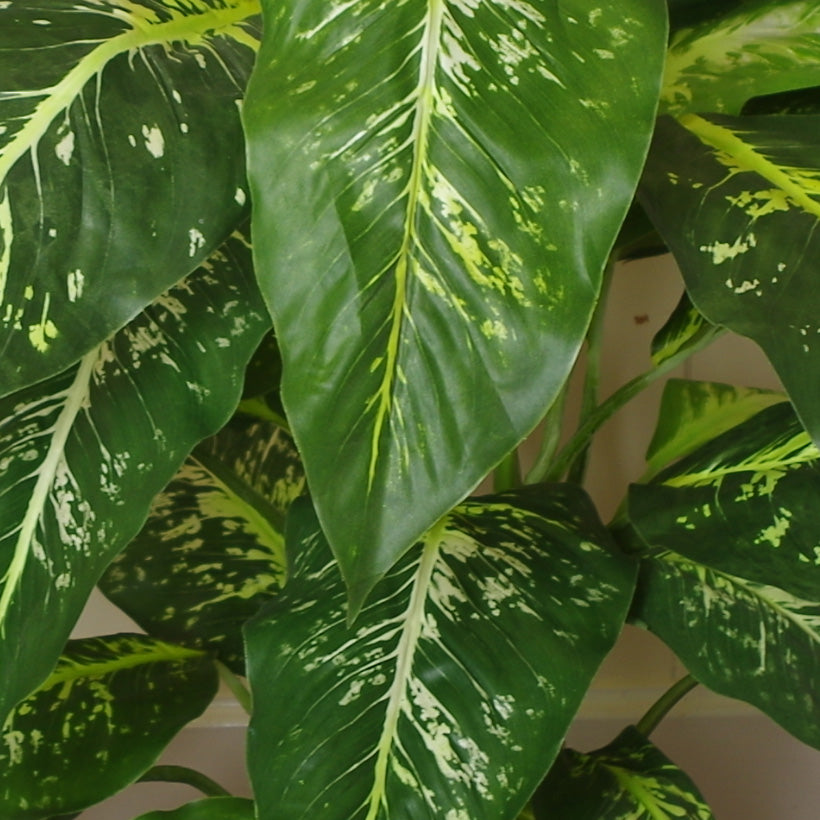 100cm Large Fox's Aglaonema (Spotted Evergreen) Tree Artificial Plant – image 3