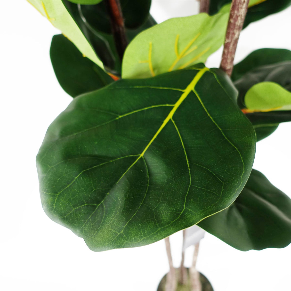 120cm Premium Artificial Fiddle Fig Tree – image 4