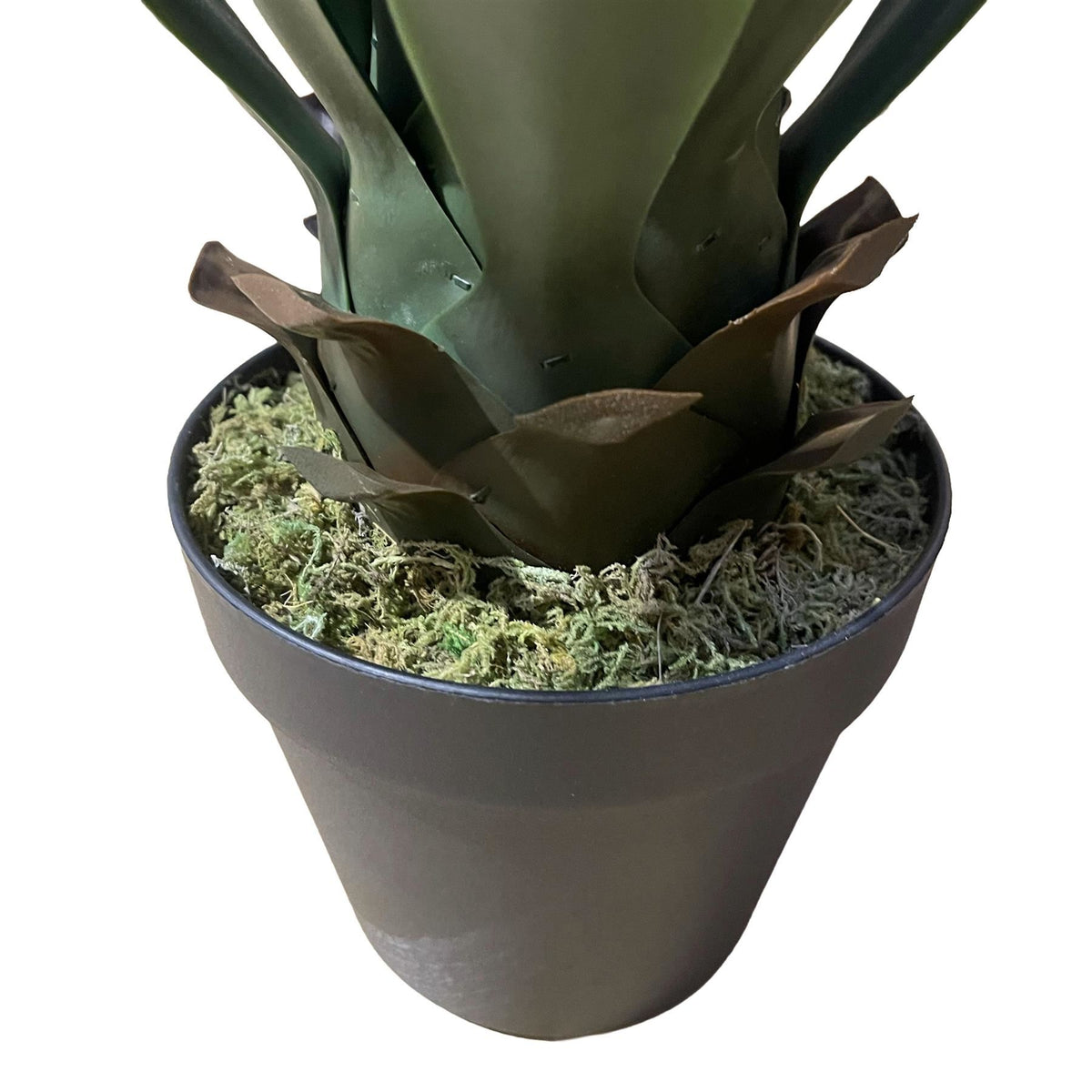 60cm Deluxe Yucca Artificial – image 4