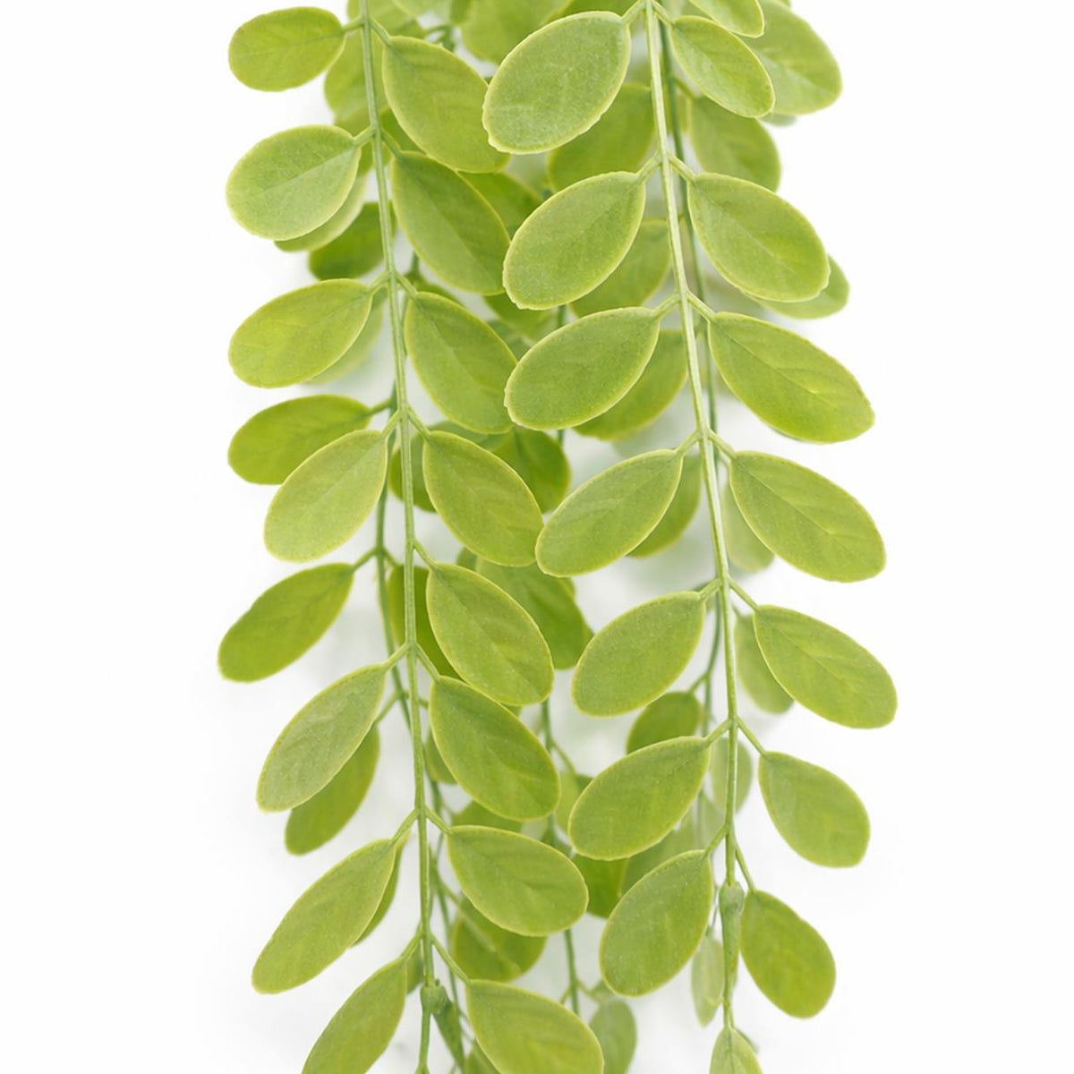 90cm Artificial Trailing Eucalyptus Style Hanging Plant Faux Greenery Vine – image 5