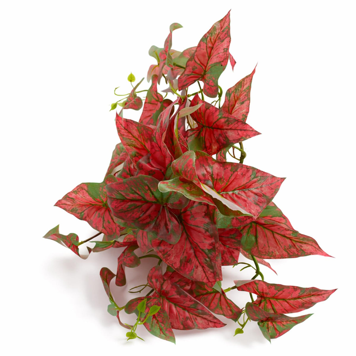30cm Artificial Trailing Red Caladium – image 4