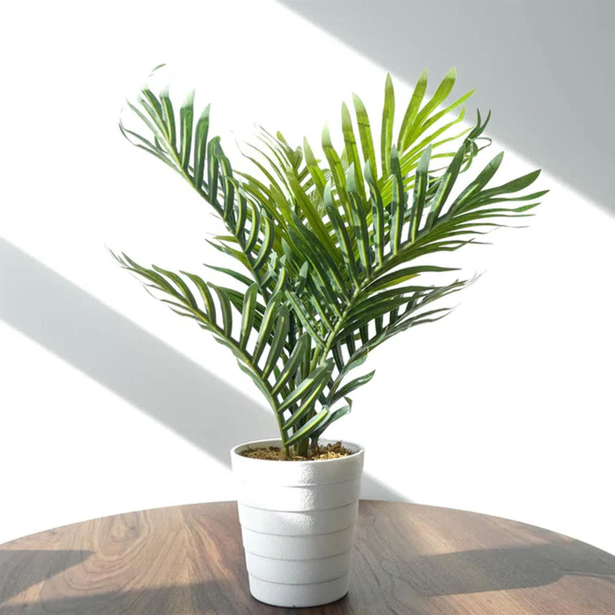 50cm Artificial Mini Palm Tree Realistic Potted – image 4