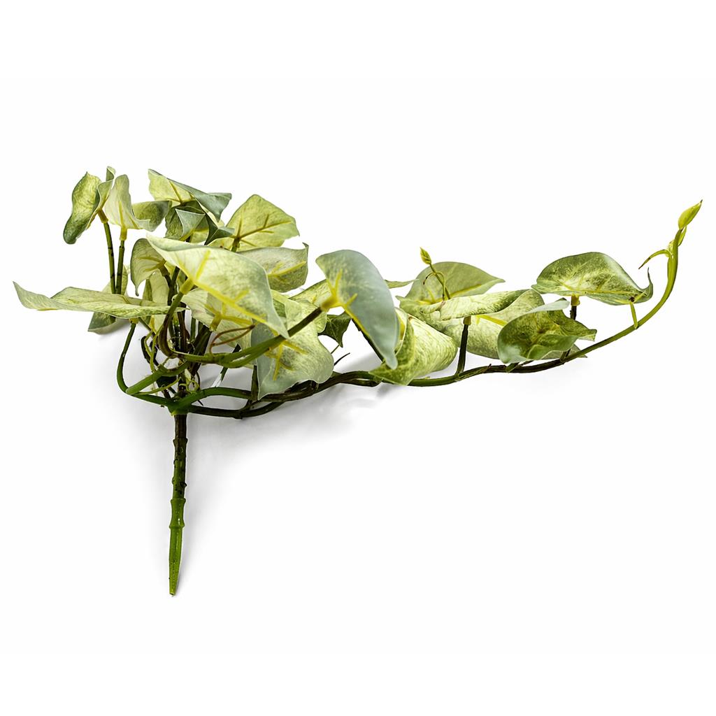 25cm Artificial Trailing Variegated Caladium Vine Plant Light Green – image 4