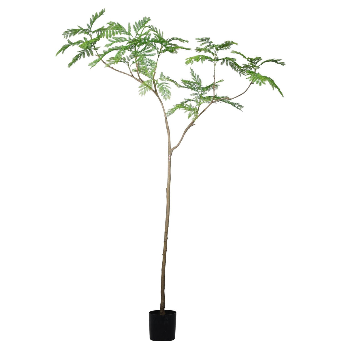 240cm Artificial Jacaranda Realistic Tree – image 2
