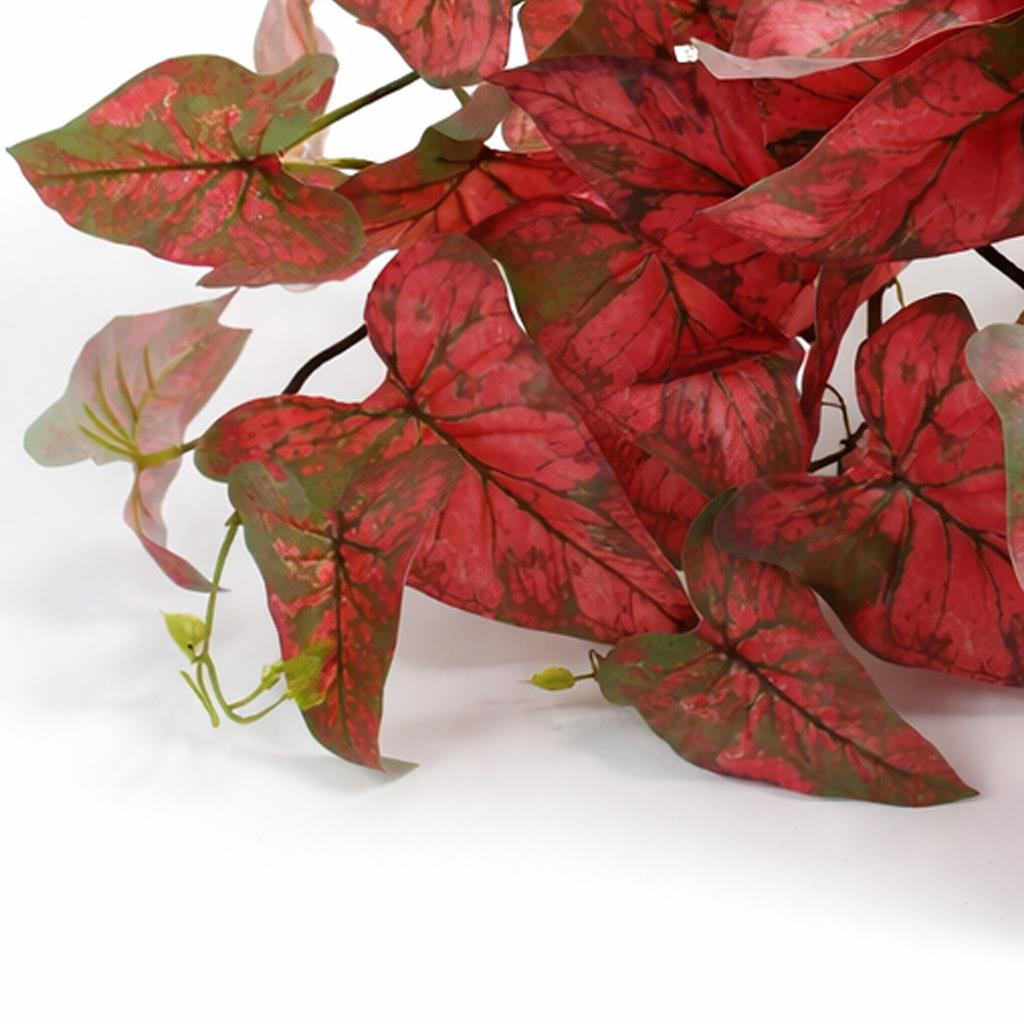 30cm Artificial Trailing Red Caladium – image 5