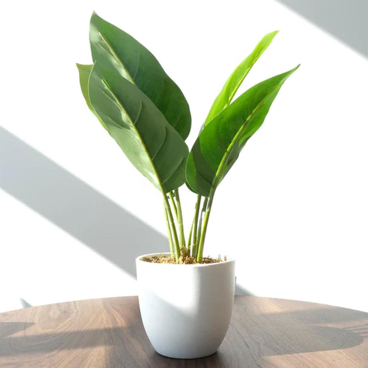 45cm Artificial Aureum Plant – image 10