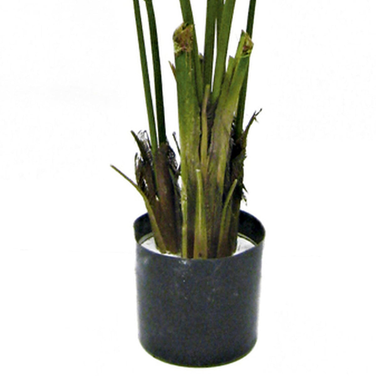 150cm Artificial Kentia Palm Tree – image 3