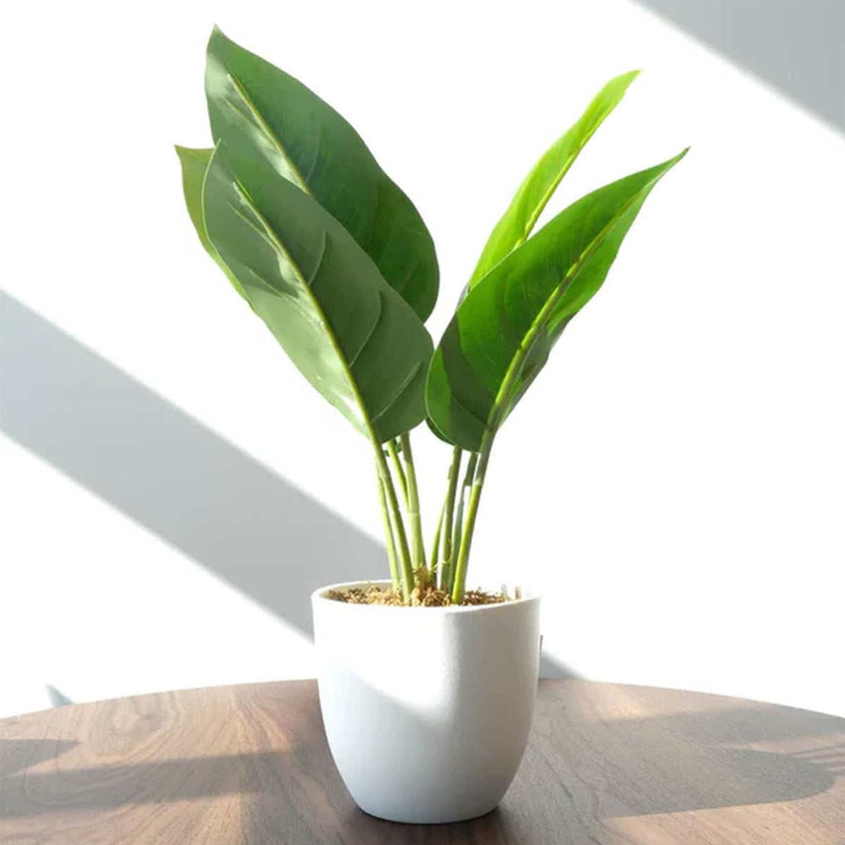 45cm Artificial Aureum Plant – image 6