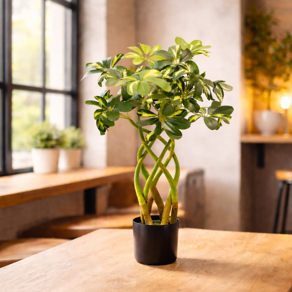 70cm Artificial Twisted Stem Modern Arboricola Plant Bonsai Bush – image 2