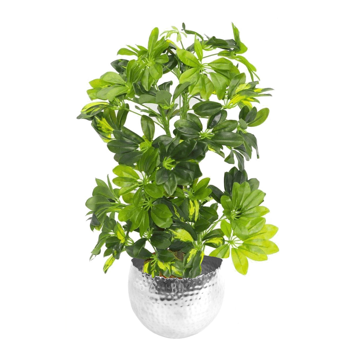 75cm Artificial Arboricola Gold Capella Plant – image 4