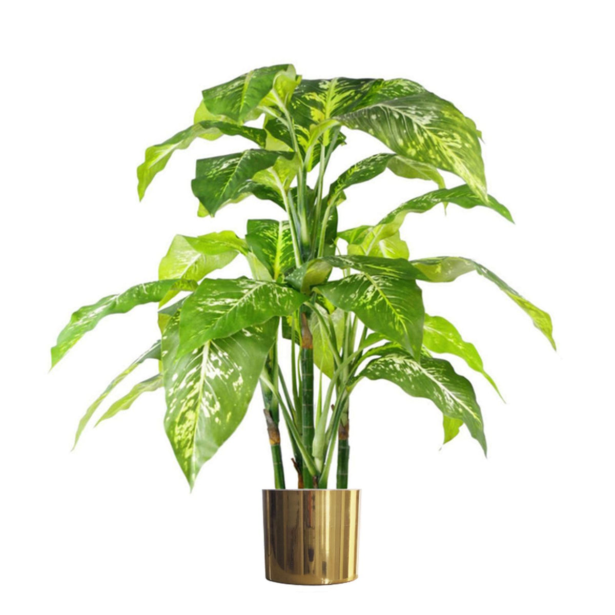 100cm Large Fox's Aglaonema (Spotted Evergreen) Tree Artificial Plant – image 5