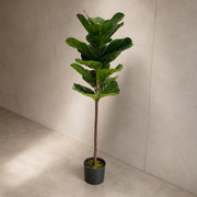 120cm Premium Artificial Fiddle Fig Tree
