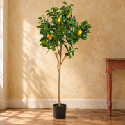 150cm Premium Artificial Lemon Tree