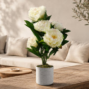 55cm Artificial White Peony Plant