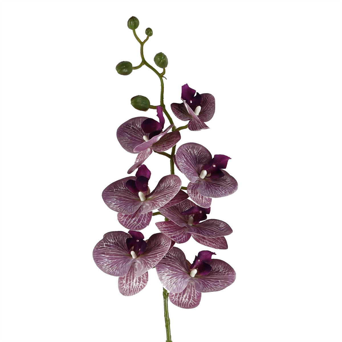 100cm Artificial Phalaenopsis Orchid Faux Stem – image 11