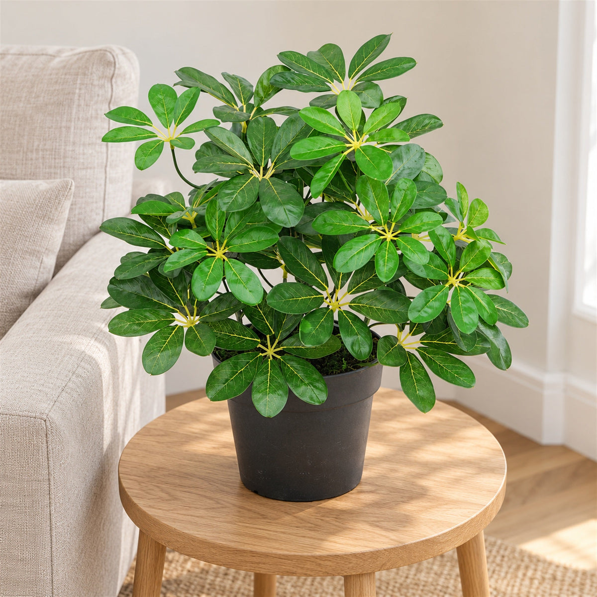 55cm Green Artificial Schefflera Arboricola Plant