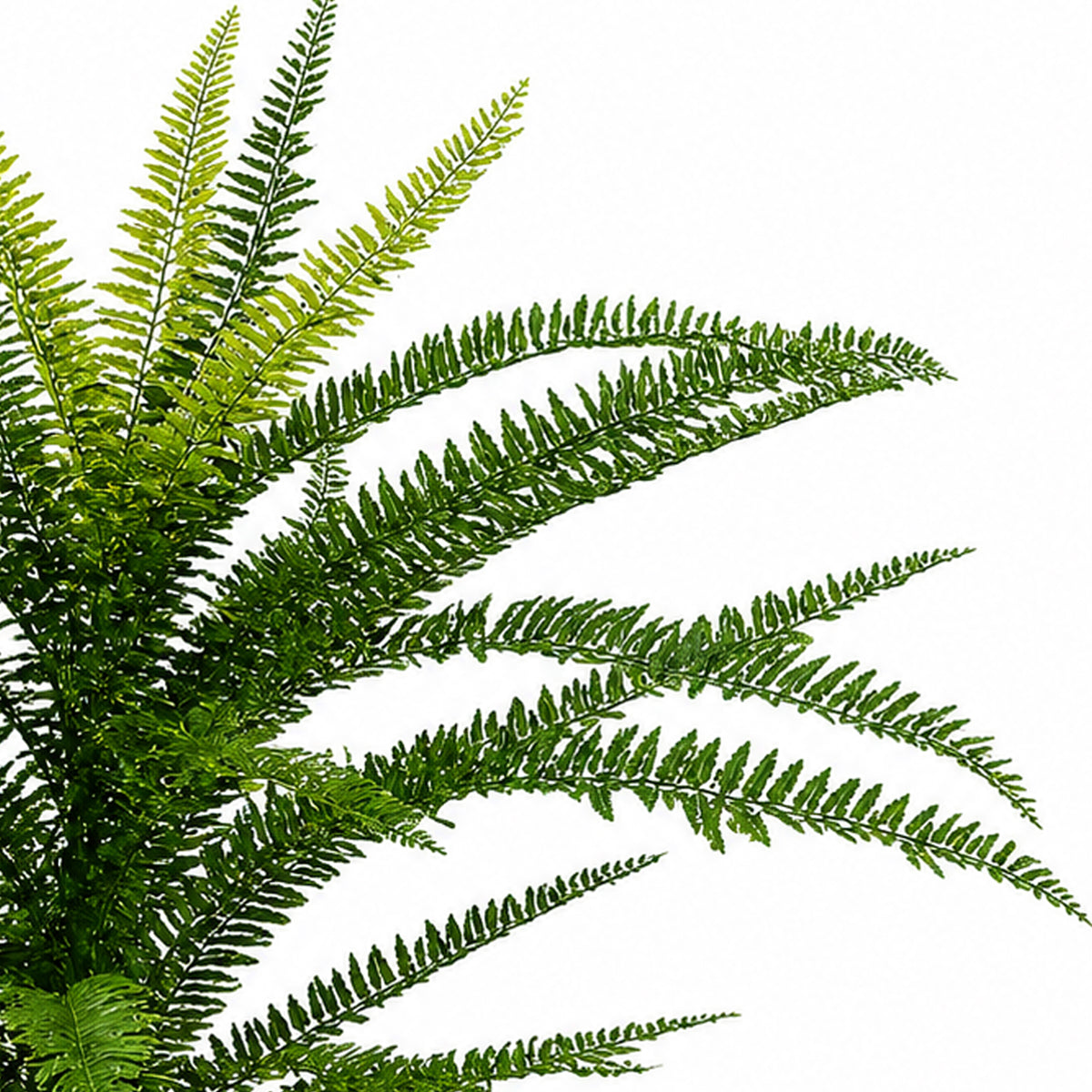75cm Artificial Fire Retardant Plastic Boston Fern Plant with 49 Leaves – image 4
