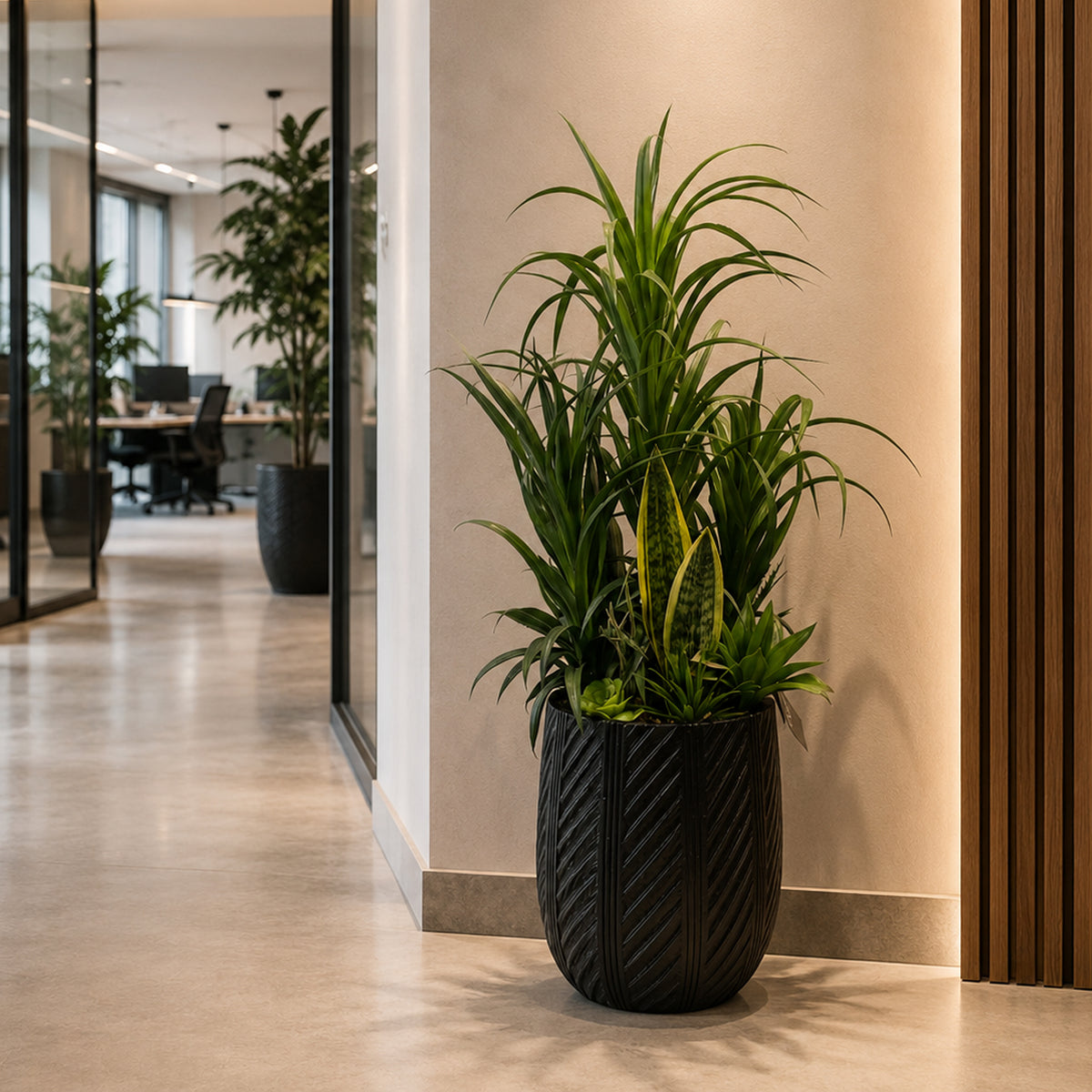 100cm Artificial Yucca Display in Pot – image 3