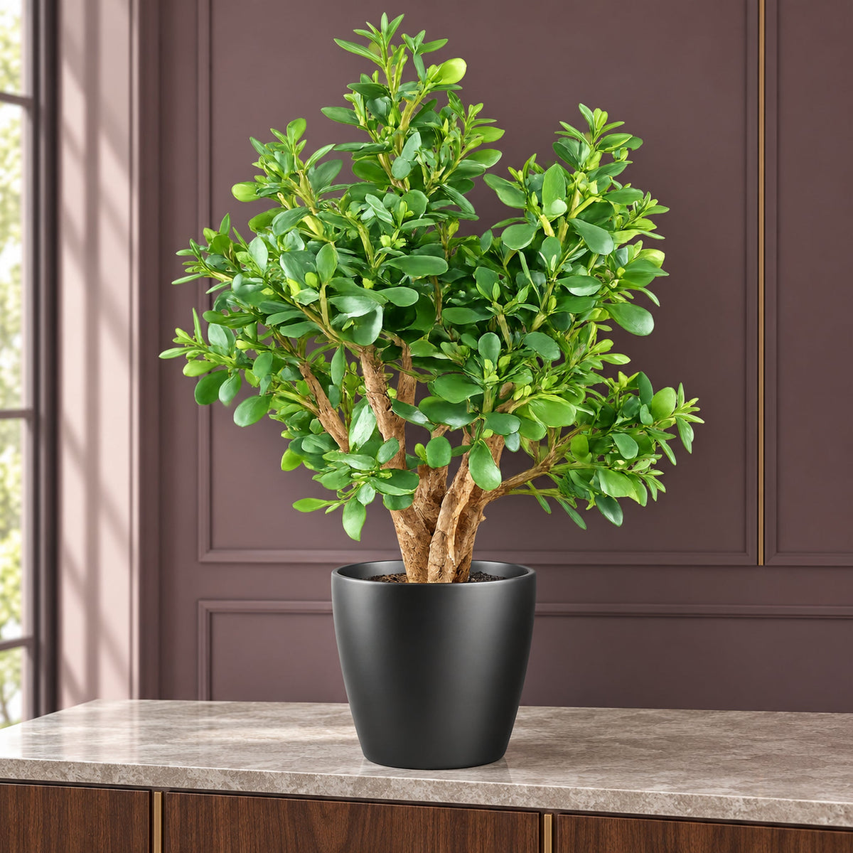 70cm Artificial Deluxe Jade Plant