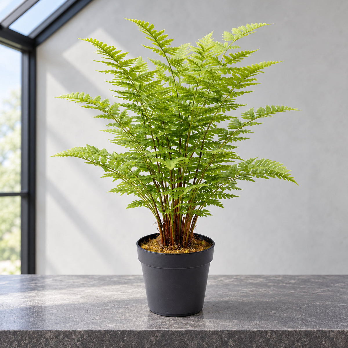 75cm Artificial Fern Plant