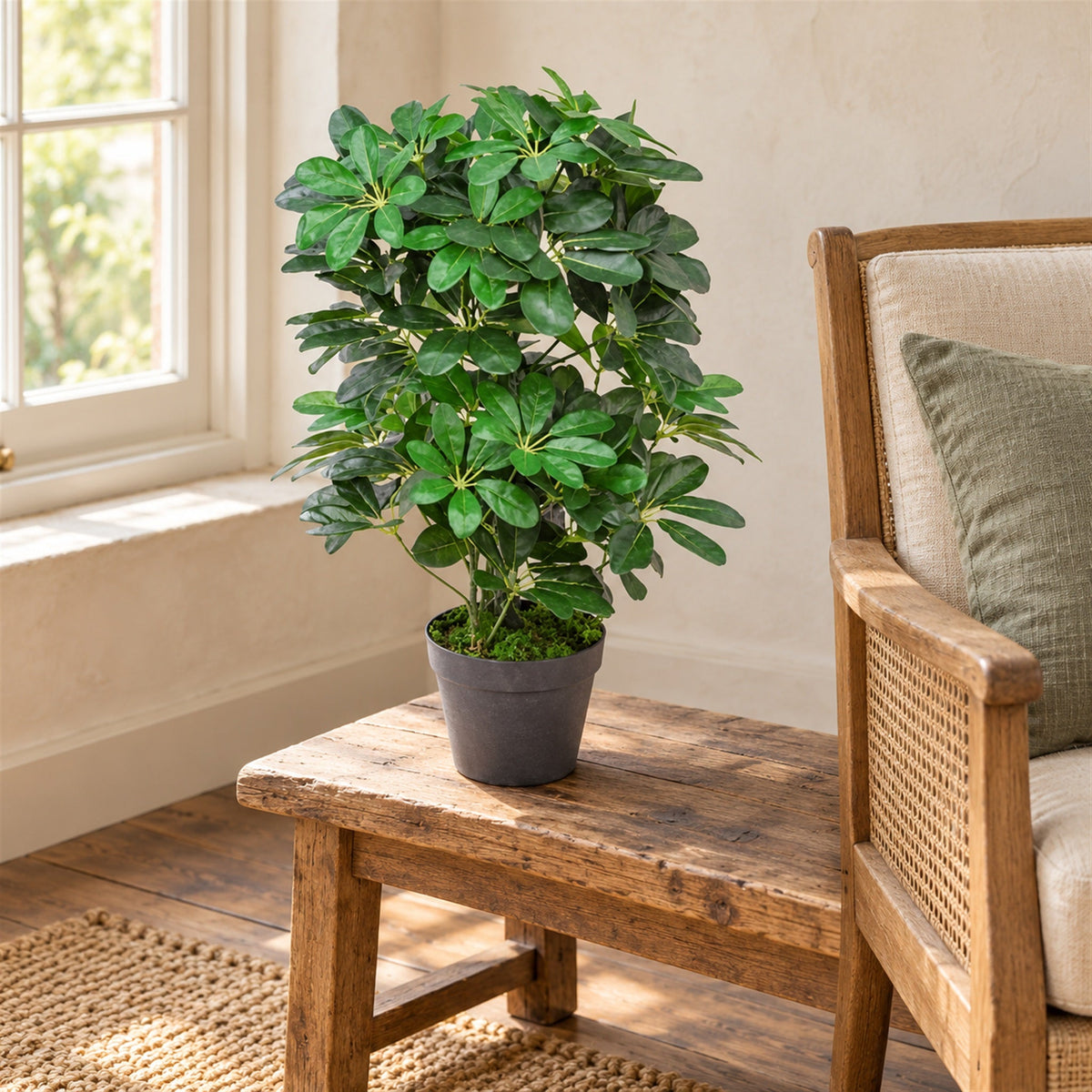 55cm Green Artificial Schefflera Arboricola Bush