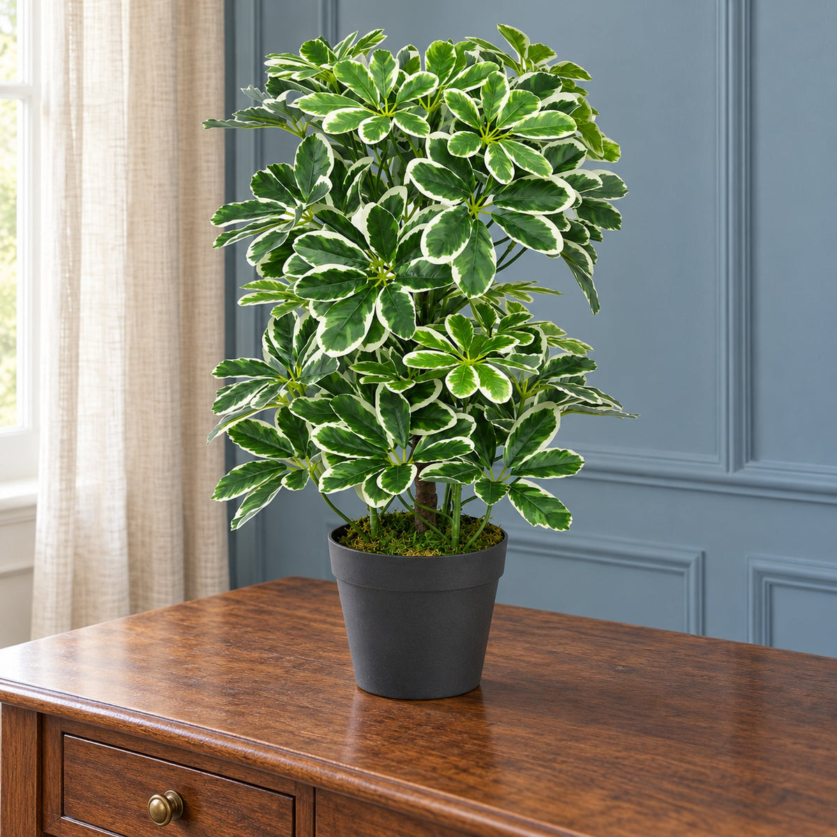 55cm Green Artificial Schefflera Arboricola Bush