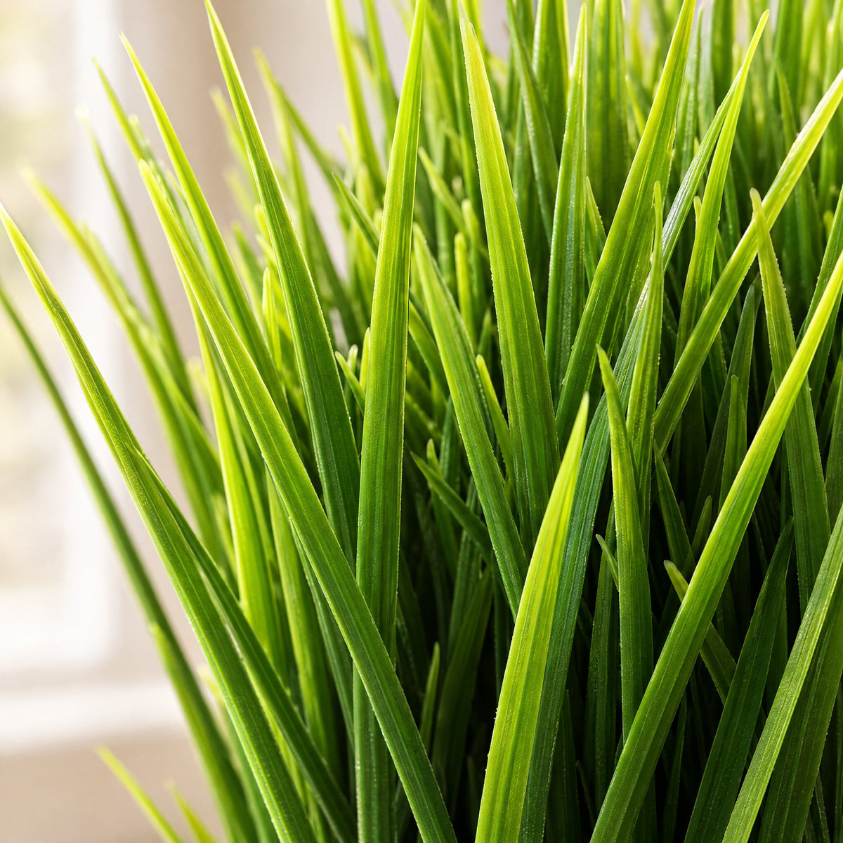 22cm Artificial Grass Plant Potted Mini Display