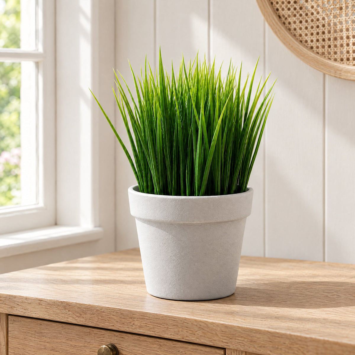 22cm Artificial Grass Plant Potted Mini Display