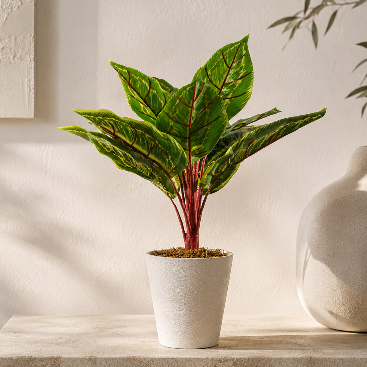 38cm Potted Artificial Calathea Veitchiane Plant