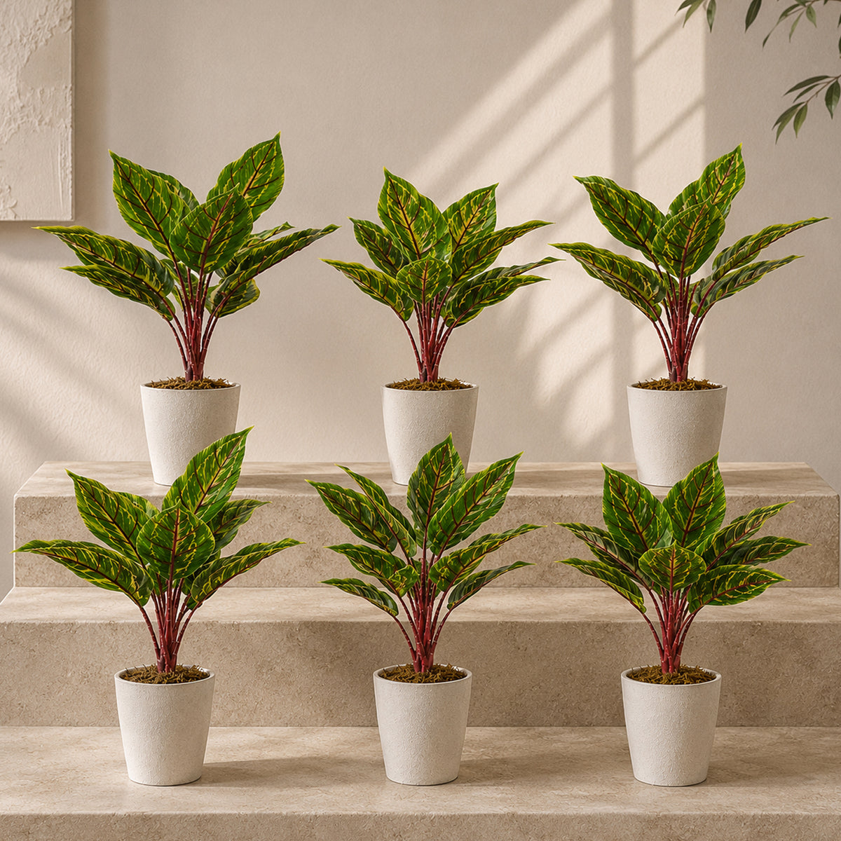 38cm Potted Artificial Calathea Veitchiane Plant – image 11