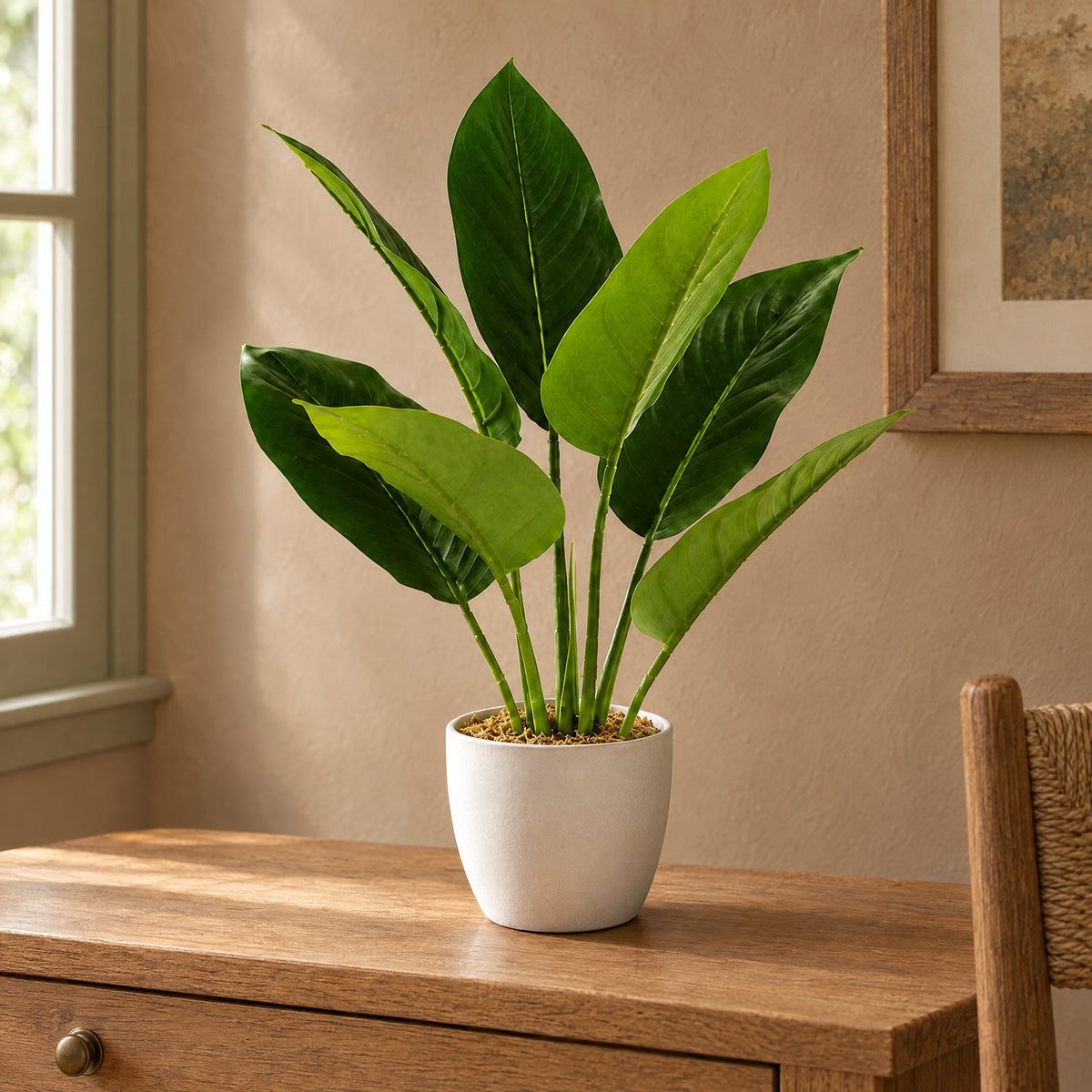 45cm Artificial Aureum Plant