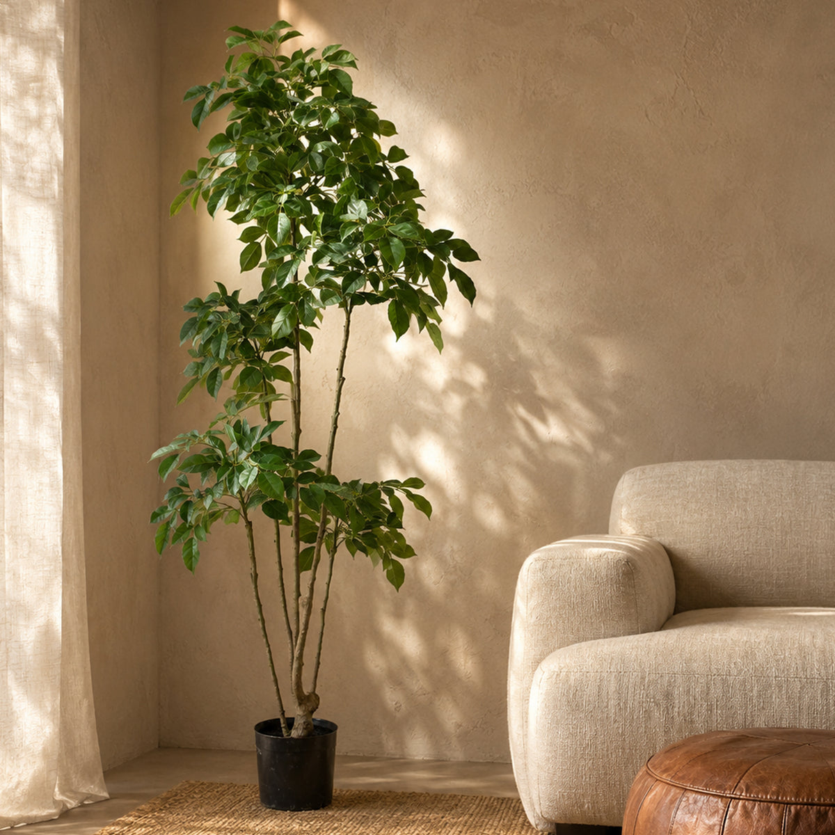 180cm Radermachera Realistic Artificial Tree