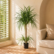 120cm Dracaena Realistic Artificial Tree