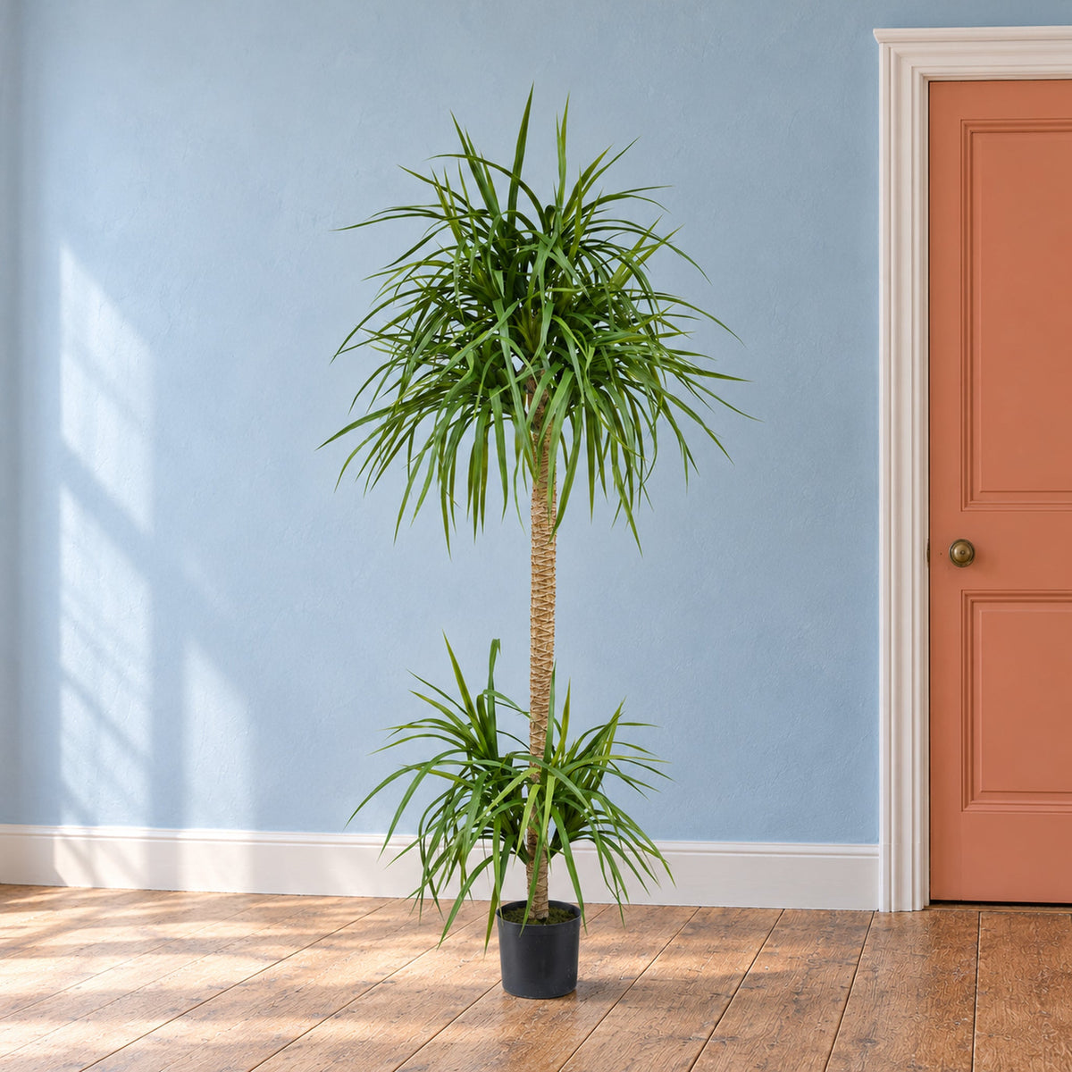 180cm Dracaena Realistic Artificial Tree