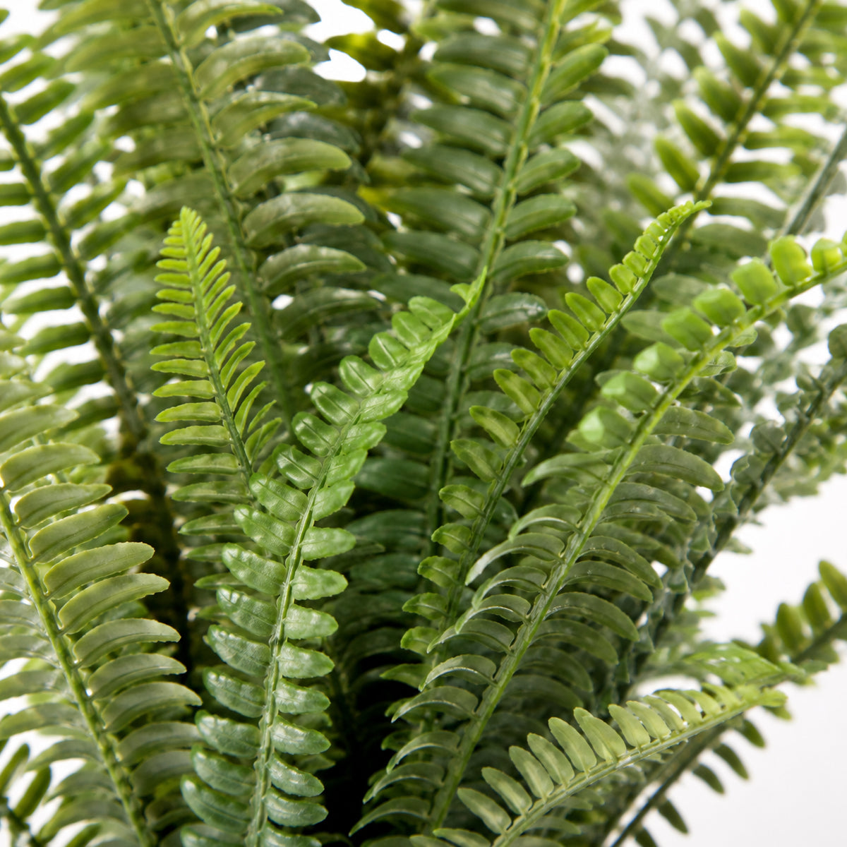 74cm Artificial Fern Plant – image 3