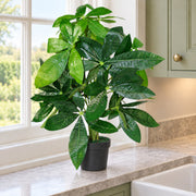 50cm Artificial Money Tree Plant