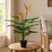 70cm Artificial Bird of Paradise Plant (Strelitzia) - Large