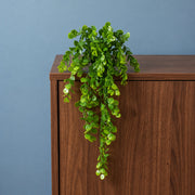 75cm Artificial Trailing Round Leaf Plant - Classic Gloss Green