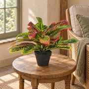 40cm Artificial Codiaeum Multicoloured House Plant